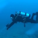 송미목장 이미지