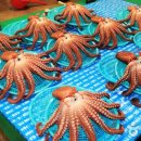 호미곶한나모텔 이미지