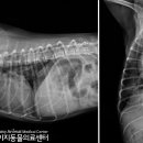 이지24시 이미지