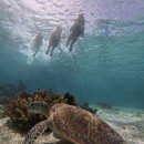 굿모닝Car | 🇵🇭필리핀 보홀 3박5일 자유여행_(2)보홀트래블 발리카삭+나팔링 단독투어/더타이마사지/라모이레스토랑