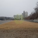 파주전기초자(주)