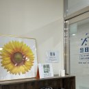 상남동295 이미지