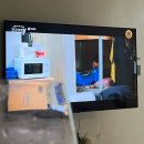 강릉멍릉도원애견펜션 이미지