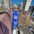 연세복싱 이미지