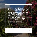 아벨농장 | 제주겨울여행 동백투어 서귀포 동백포레스트 제주홀릭투어