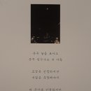 벨리나 이미지