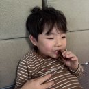 설성목장 | 고기 안먹는 아이, 아기 간식 추천! 설성목장 어린이육포 후기