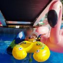 베리온리조트 수영장 이미지