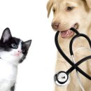 혜인동물병원 이미지