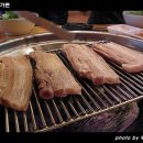 문경약돌돼지 이미지