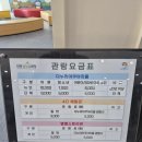 단양 아이와가볼만한곳 다누리아쿠아리움 방문후기