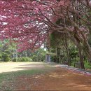 충혼탑화장실 이미지