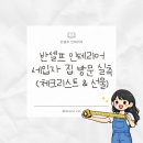 무지개소정 | 반셀프 인테리어 #1 | 세입자 거주 중 실측 후기 (실측 준비물, 선물, 체크리스트)