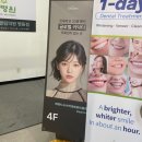 시계탑리즈여성의원 | 을지로입구역 리즈네 주사 2cc 후기! 남자 효과, 통증, 시술 과정까지 솔직 리뷰💉