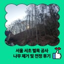 고덕 연결녹지 | 서울 서초 벌목 공사 나무 제거 및 전정 후기