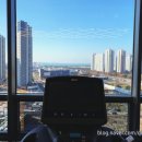 풀 바디짐 이미지