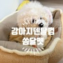 매일덴탈 | 강아지치석제거껌 기호성 좋고 용량도 넉넉한 쏨달펫 찹찹덴탈껌 후기