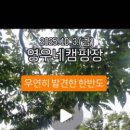 영우네 농어촌 관광농원 이미지