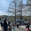 안성초정문안경나라앞 | 에버랜드 극성수기 주말 일요일 방문후기 정문유료주차장 방문시간 에버랜드 오픈런 스마트줄서기...
