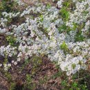 구암마당 이미지