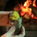 산골짜기민박 이미지