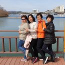 일성보문콘도미니엄 Daum카페