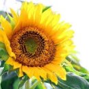 봉선체육공원2 이미지