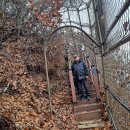 향기나무어린이집 시설 경계 10미터 | 염하강철책길(金浦)