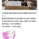 봄 색깔
