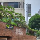 강남조은약국 이미지