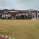 사내초등학교 이미지