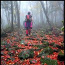 한라산둘레길 수악길 이미지