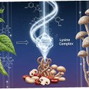 든든약국 이미지