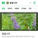 장수읍 시가지(장수천3) | 장수 뜬봉샘 생태공원 진짜 강추 ❤