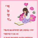 배교 Daum카페