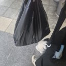 홍익대 대학로 아트센터 소극장 | [대학로 연극]벙커 트릴로지 (모르가나) 관람후기(홍익대 대학로 아트센터 소극장, 기본정보, 캐스트...