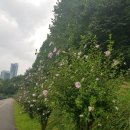 대련농장 이미지