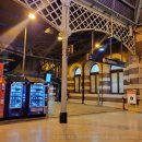 낭만비어 | 호주 야간 기차 낭만 실화｜시드니→멜버른 Sleeper Cabin 후기