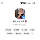 카톡 타로로 엿본 내 인생 카카오톡 타로 파트라슈 찐 후기 (내 돈 내산)