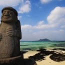 제주도똥돼지