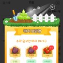 올팜