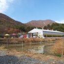 율이네농장 | 울산 아이와 율이네새우농장 체험 솔직후기