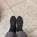 인스 | 스케쳐스 맥스쿠셔닝 엘리트 3.0 슬립인스 후기｜간호사 근무화로 신어본 내돈내산 솔직 리뷰