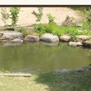 고운동아침 이미지