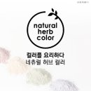 엘로이헤어 이미지