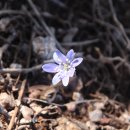 사기막골(2) 이미지