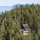 둥지(네스트) 이미지