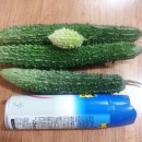 여주-0406 Daum카페