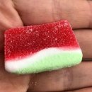지토