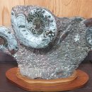 제주화석박물관 이미지